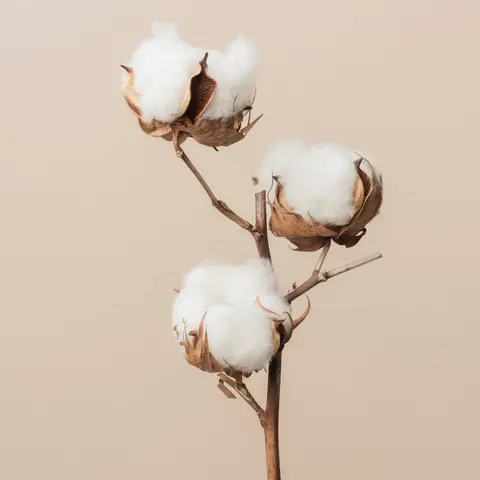 [RFL_NEB_CTON_120] Xtract - Geurvulling Nebu - Cotton - 120 ml