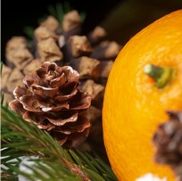 [RFL_NEB_SCDR_120] Xtract - Geurvulling Nebu - Sunny Cedar - 120 ml